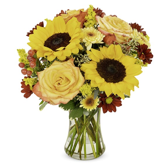 BF853-11KL-07270-1000